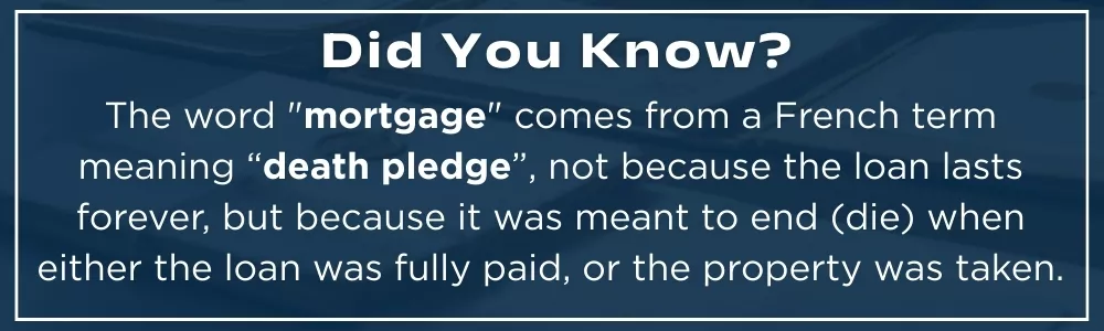 Bank professional reviewing mortgage documents at desk in quiet office