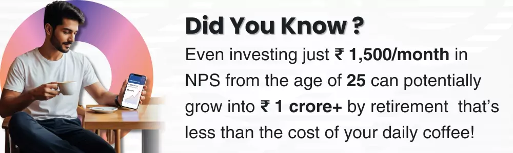 What Is This NPS Calculator?
