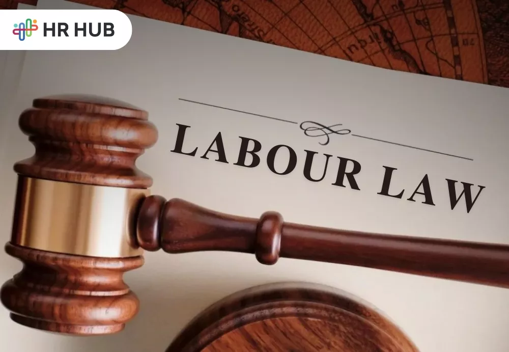 HR manager reviewing Labour Code changes using HR software